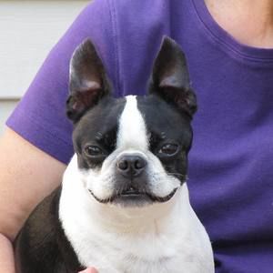 Meet your Posher, Barbara